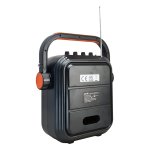 JYX φορητό ηχείο 65BT με 2x μικρόφωνα & ασύρματο χειριστήριο, 30W, 4400mah, μαύρο - Image 3