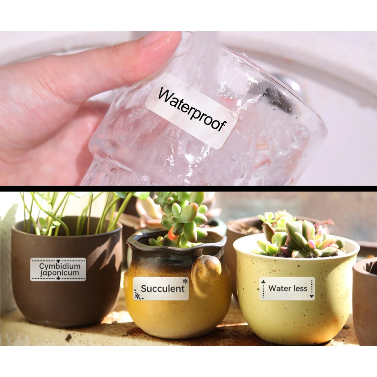 NIIMBOT smart θερμικός εκτυπωτής ετικετών B18, 203dpi, Bluetooth, λευκός - Image 3